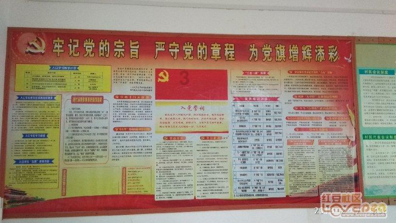 探讨交流,尽在在职场,是应该狼性,还是应该佛性?